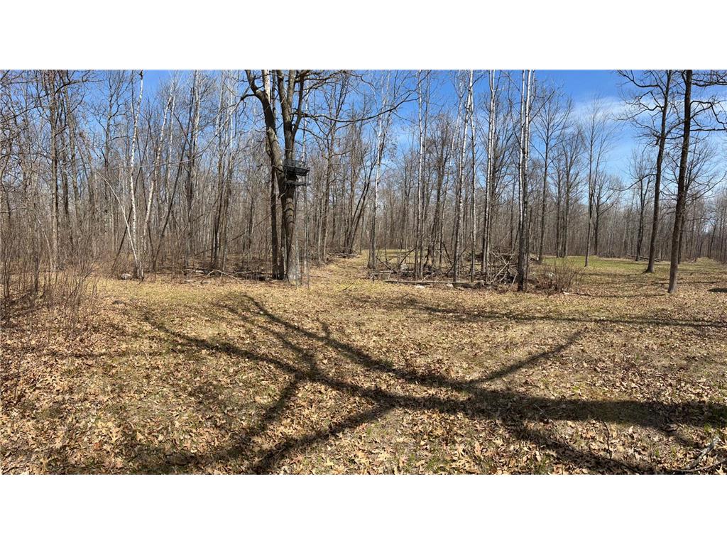 TBD NW 148th Street Cass Lake MN 56633 7072547 image9