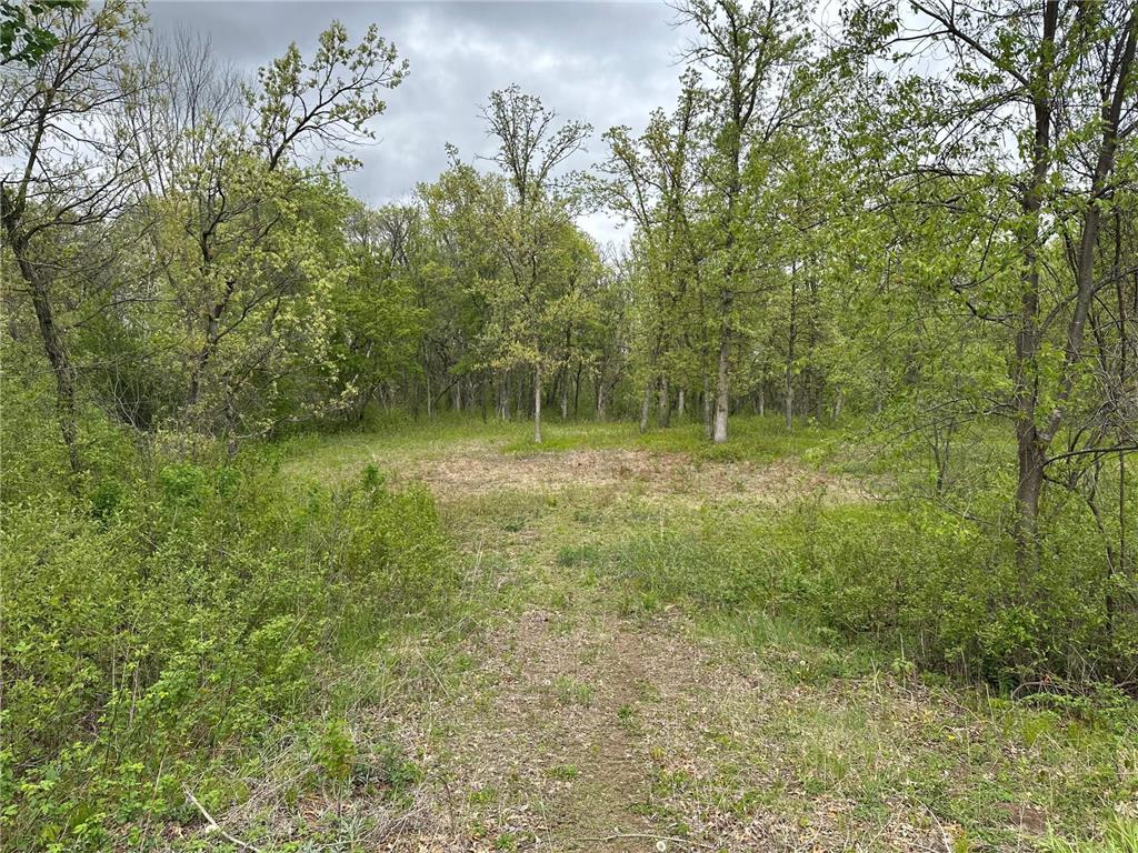 TBD 301st Avenue NW Blue Hill Twp MN 55371 7077190 image1