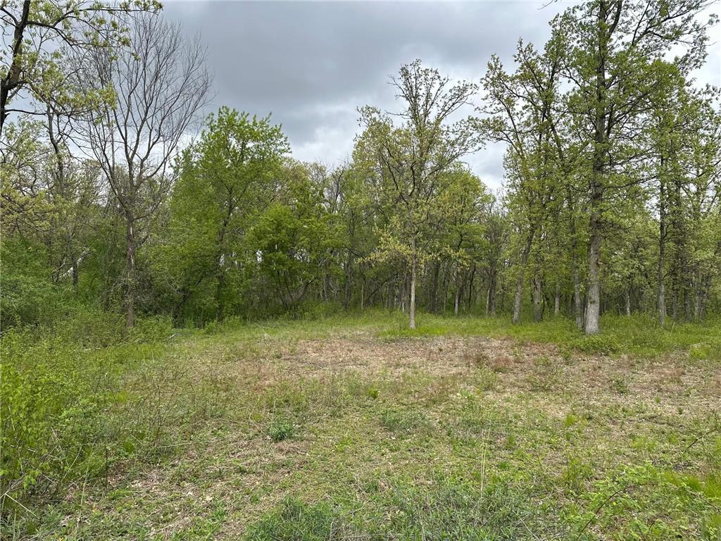 TBD 301st Avenue NW Blue Hill Twp MN 55371 7077190 image2