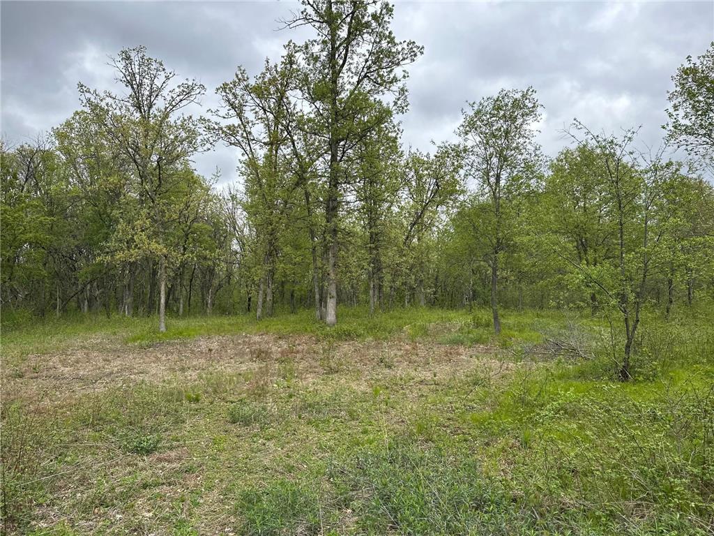 TBD 301st Avenue NW Blue Hill Twp MN 55371 7077190 image3