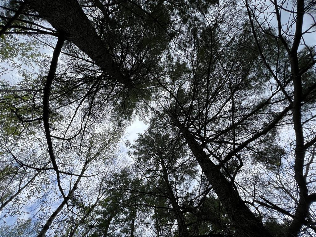 TBD NW George Dr. Northern Twp MN 56601 6338925 image1