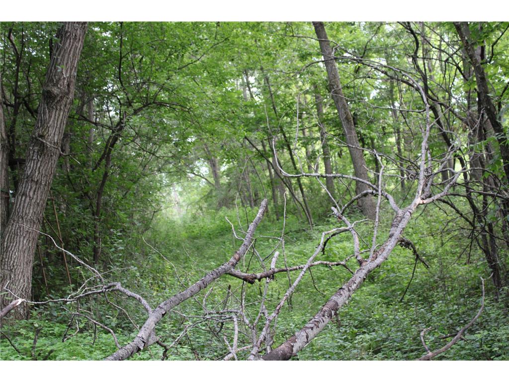 TBD NW New Haven Road New Haven Twp MN 55960 6826035 image10