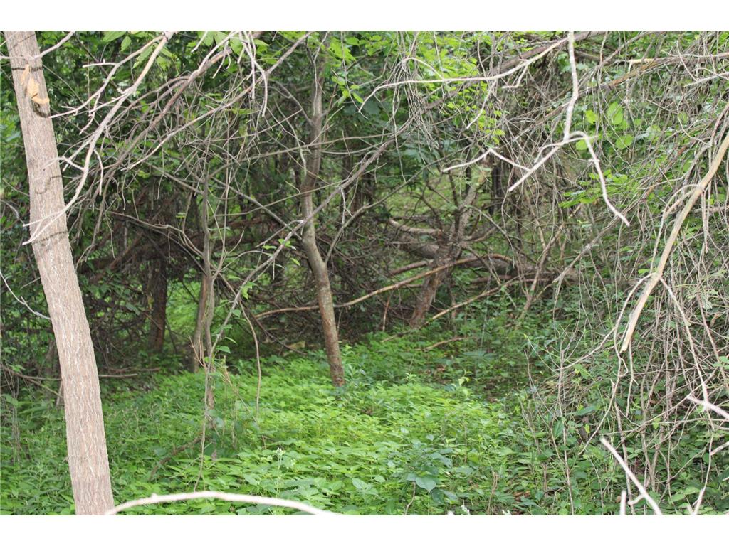 TBD NW New Haven Road New Haven Twp MN 55960 6826035 image11