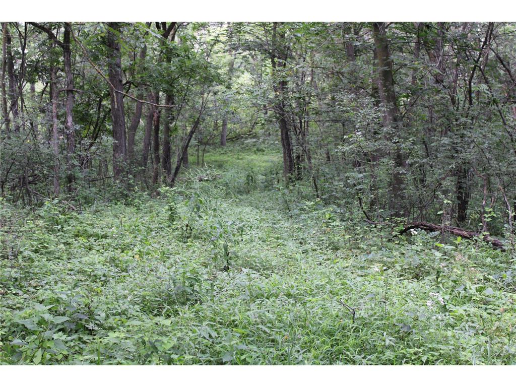 TBD NW New Haven Road New Haven Twp MN 55960 6826035 image12