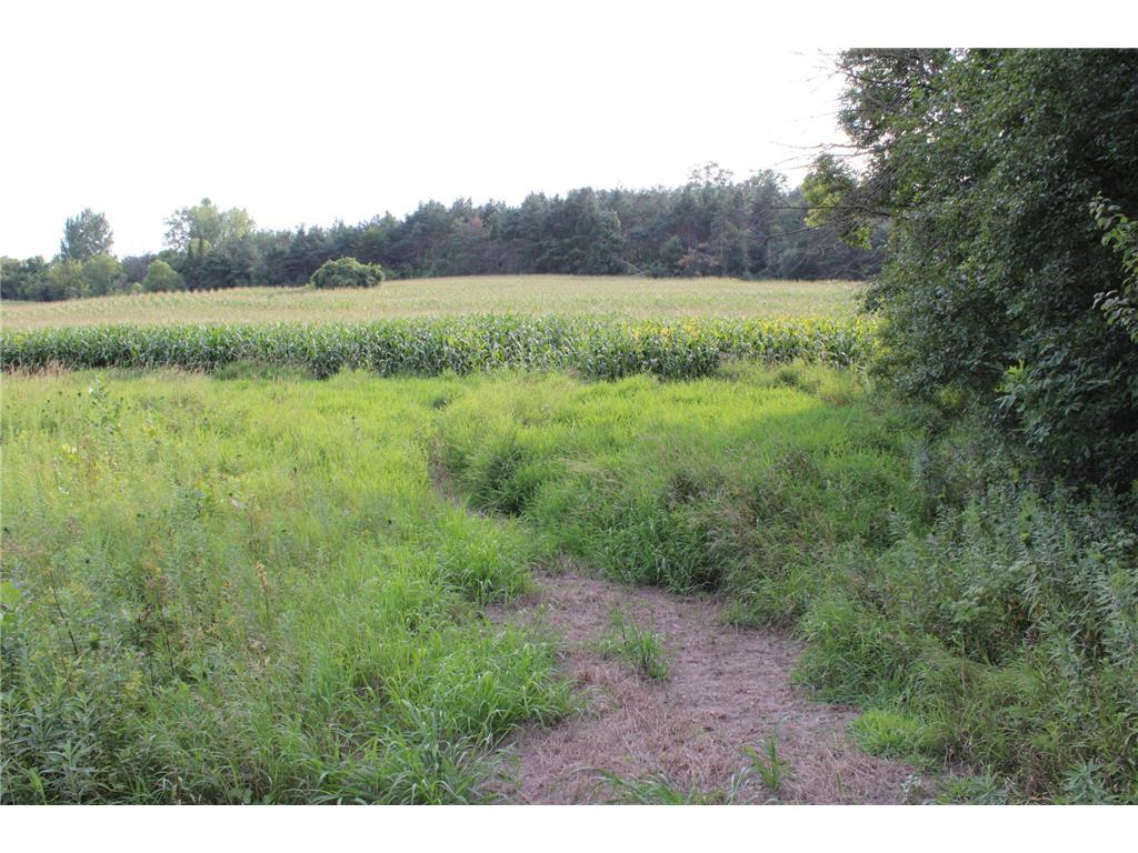 TBD NW New Haven Road New Haven Twp MN 55960 6826035 image6