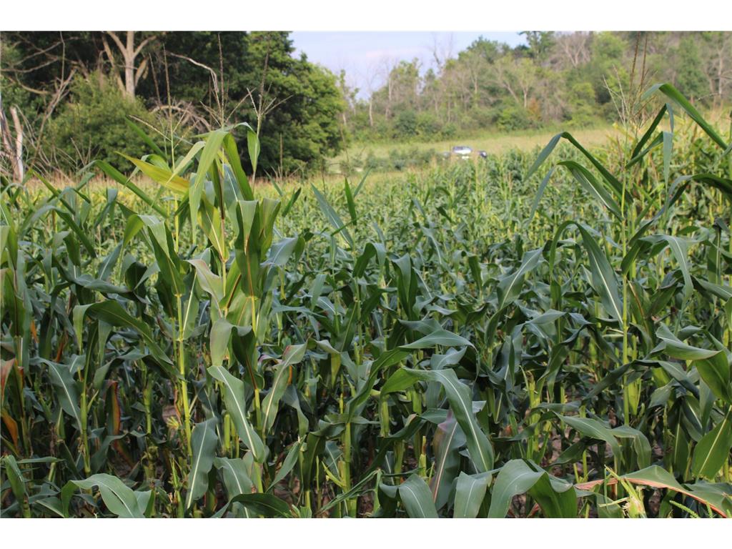 TBD NW New Haven Road New Haven Twp MN 55960 6826035 image7