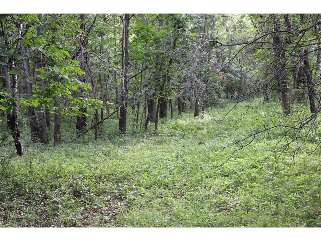 TBD NW New Haven Road New Haven Twp MN 55960 6826035 image8