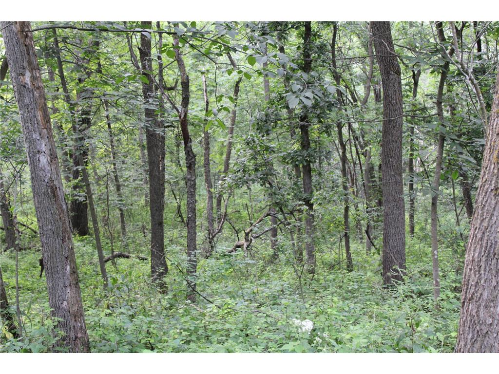 TBD NW New Haven Road New Haven Twp MN 55960 6826035 image9