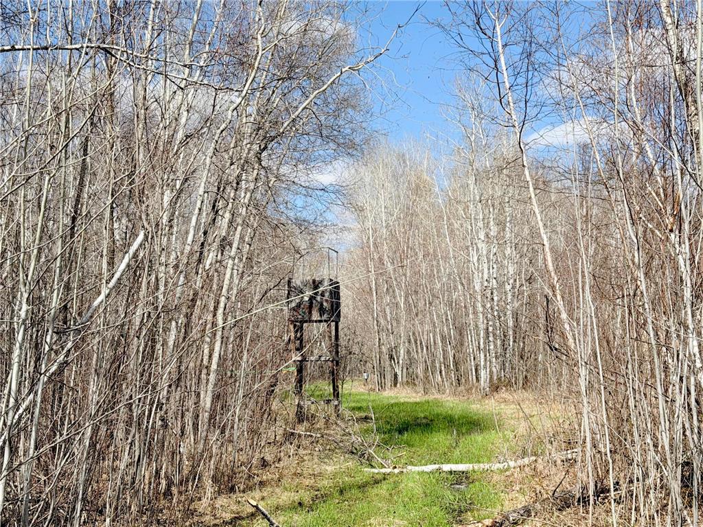 TBD Nature Avenue Fleming Twp MN 56469 7064226 image1