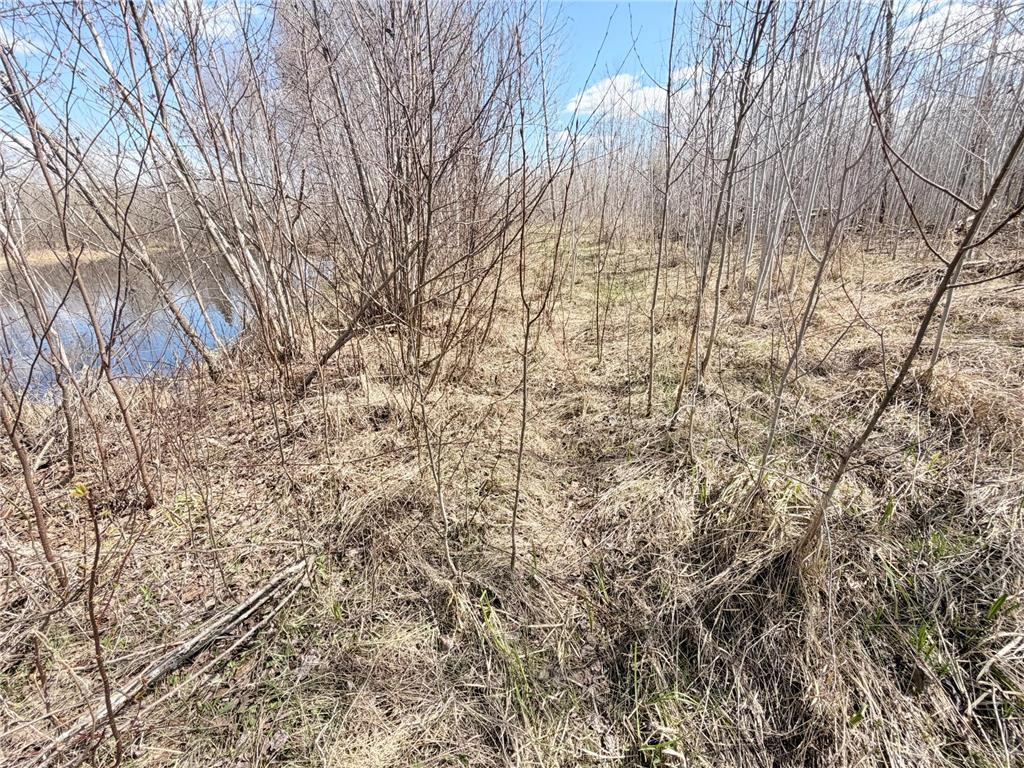 TBD Nature Avenue Fleming Twp MN 56469 7064226 image10