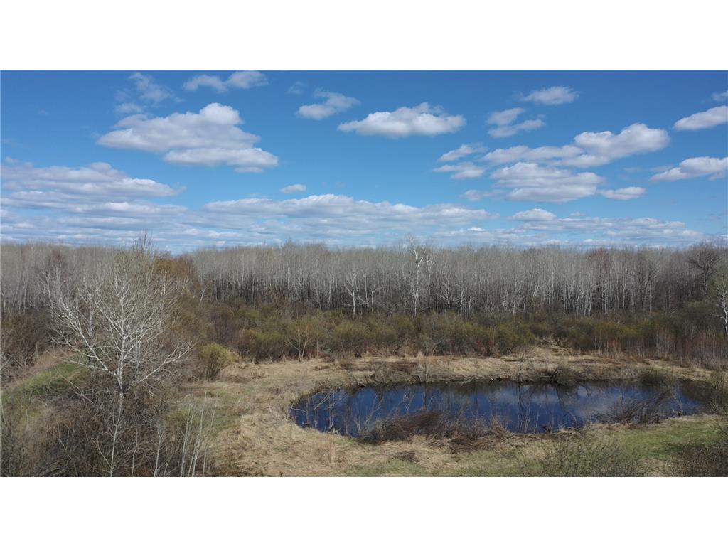 TBD Nature Avenue Fleming Twp MN 56469 7064226 image11