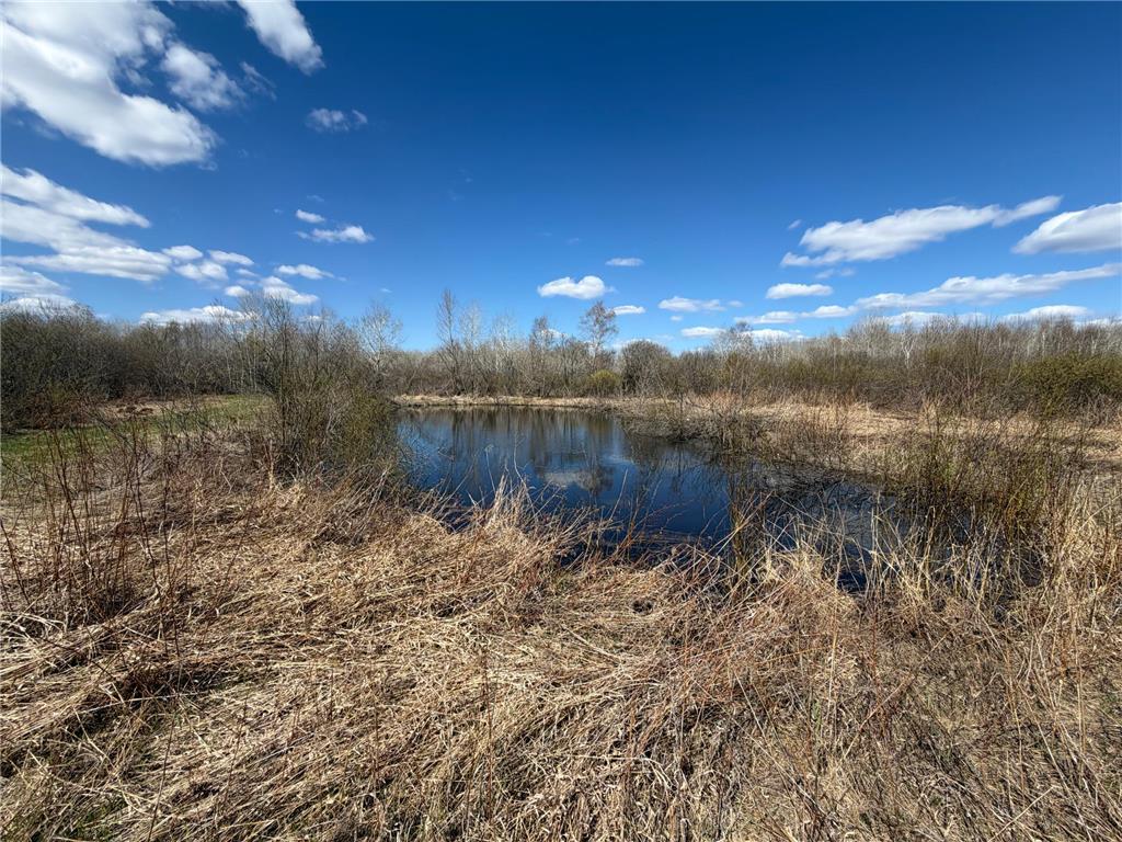 TBD Nature Avenue Fleming Twp MN 56469 7064226 image12