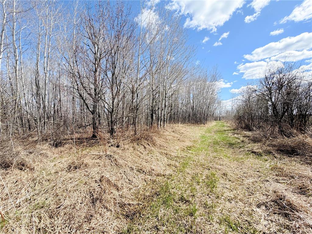 TBD Nature Avenue Fleming Twp MN 56469 7064226 image14