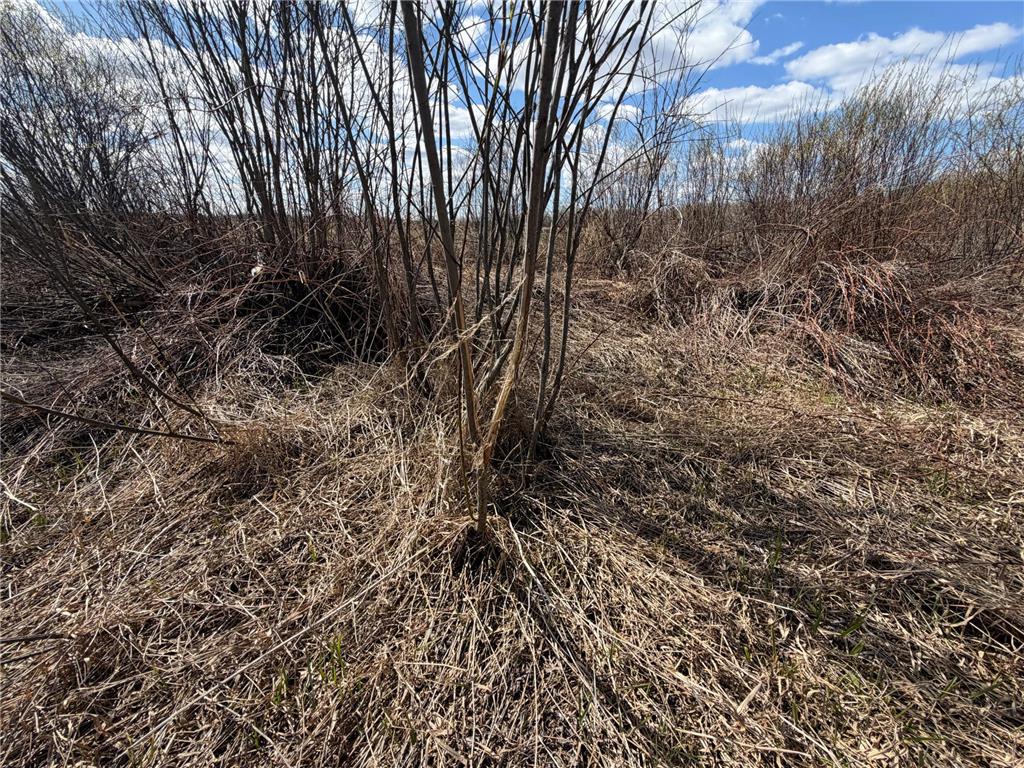 TBD Nature Avenue Fleming Twp MN 56469 7064226 image15