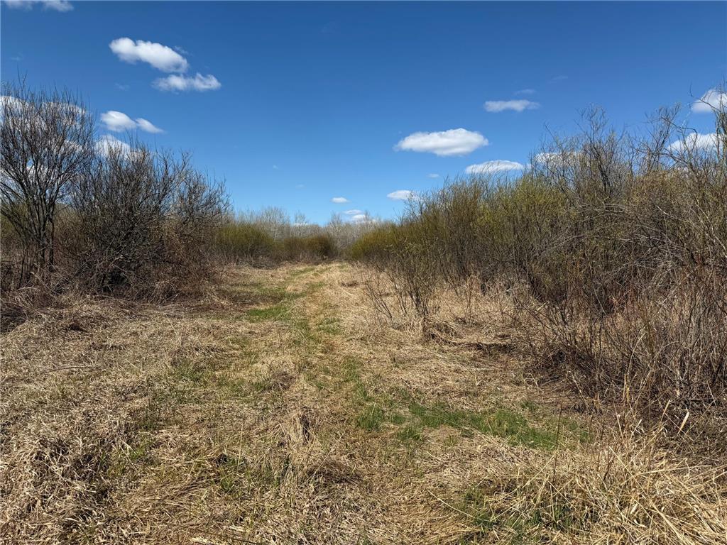 TBD Nature Avenue Fleming Twp MN 56469 7064226 image18