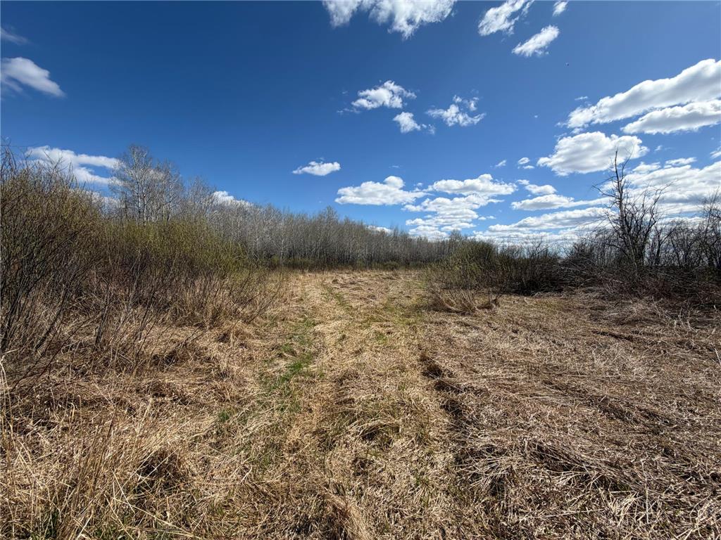 TBD Nature Avenue Fleming Twp MN 56469 7064226 image19