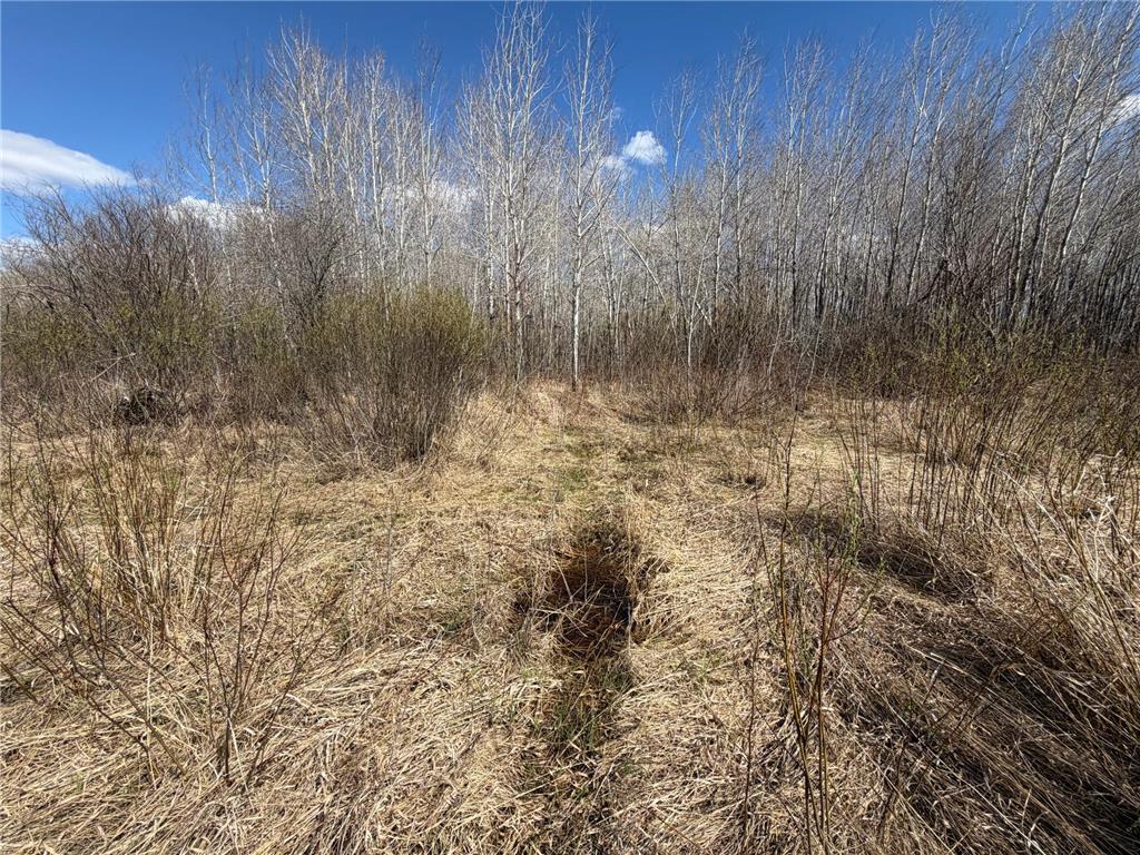 TBD Nature Avenue Fleming Twp MN 56469 7064226 image20