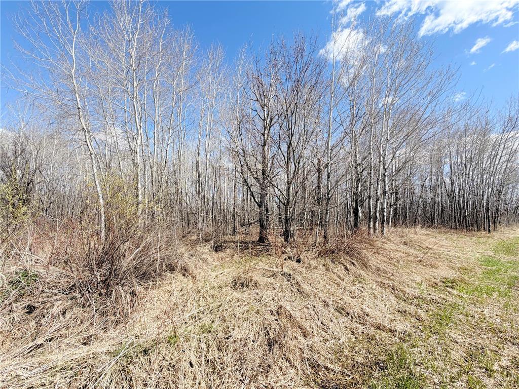 TBD Nature Avenue Fleming Twp MN 56469 7064226 image21