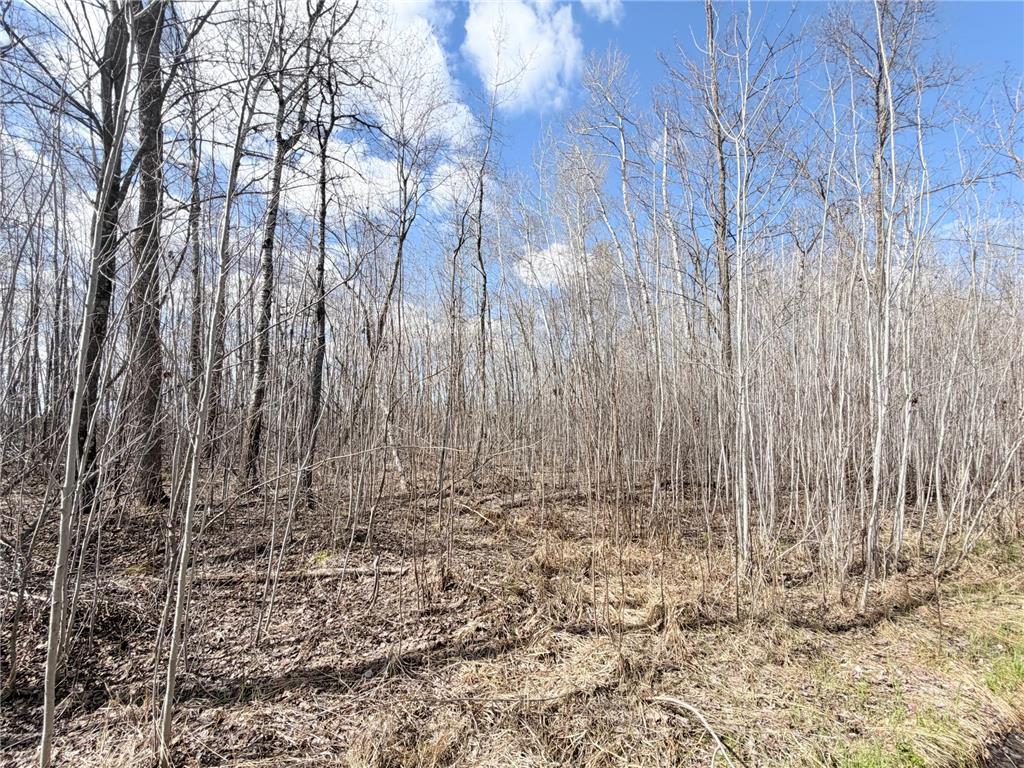 TBD Nature Avenue Fleming Twp MN 56469 7064226 image24