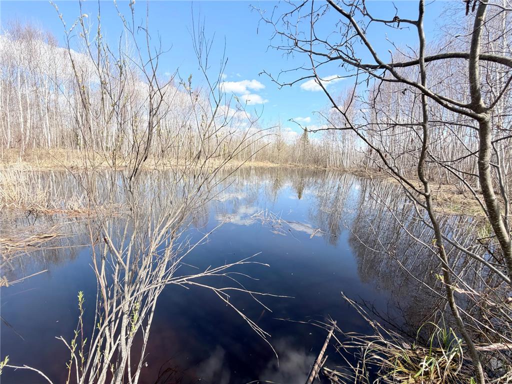 TBD Nature Avenue Fleming Twp MN 56469 7064226 image25