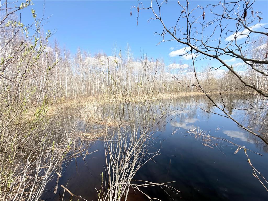 TBD Nature Avenue Fleming Twp MN 56469 7064226 image26