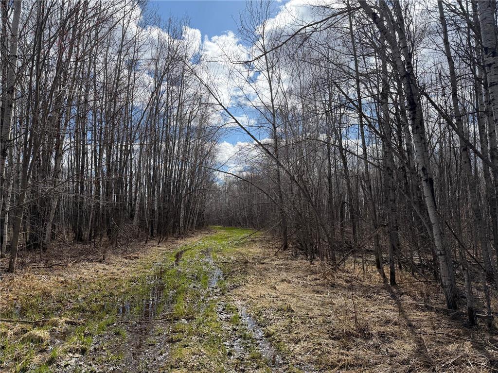 TBD Nature Avenue Fleming Twp MN 56469 7064226 image27
