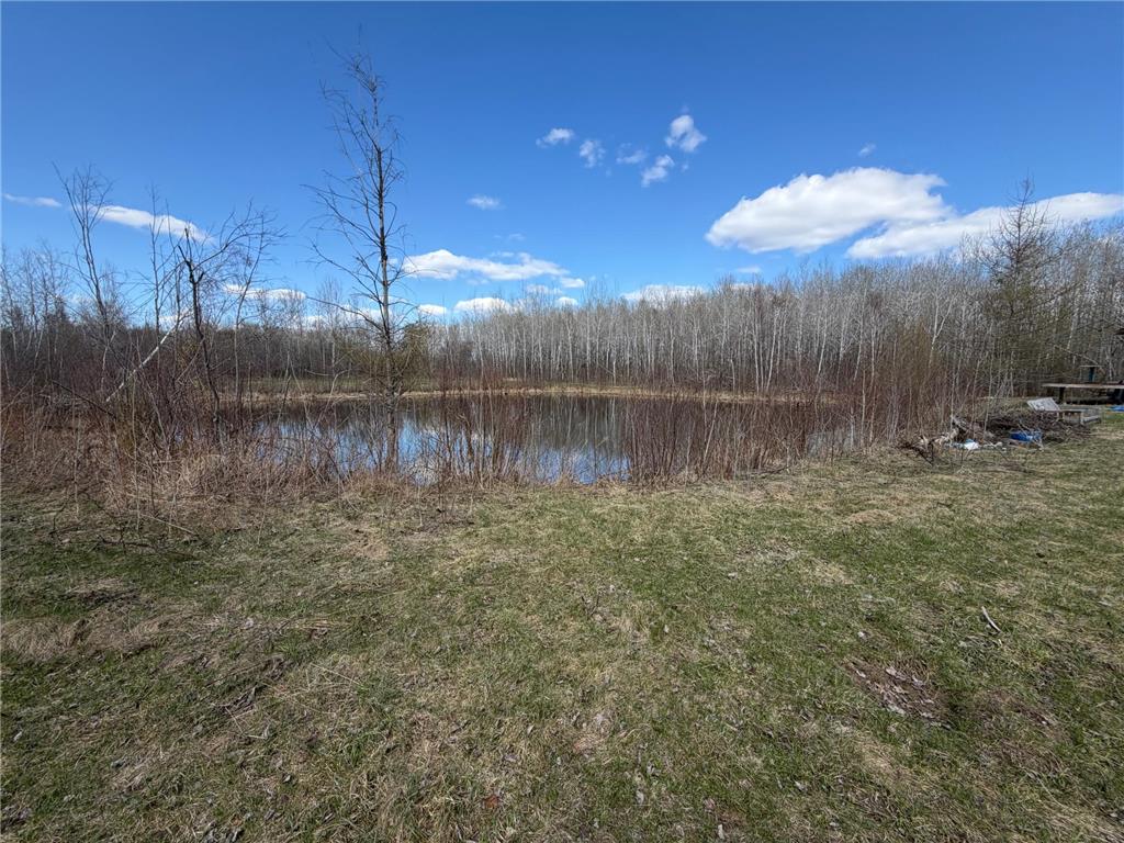 TBD Nature Avenue Fleming Twp MN 56469 7064226 image28