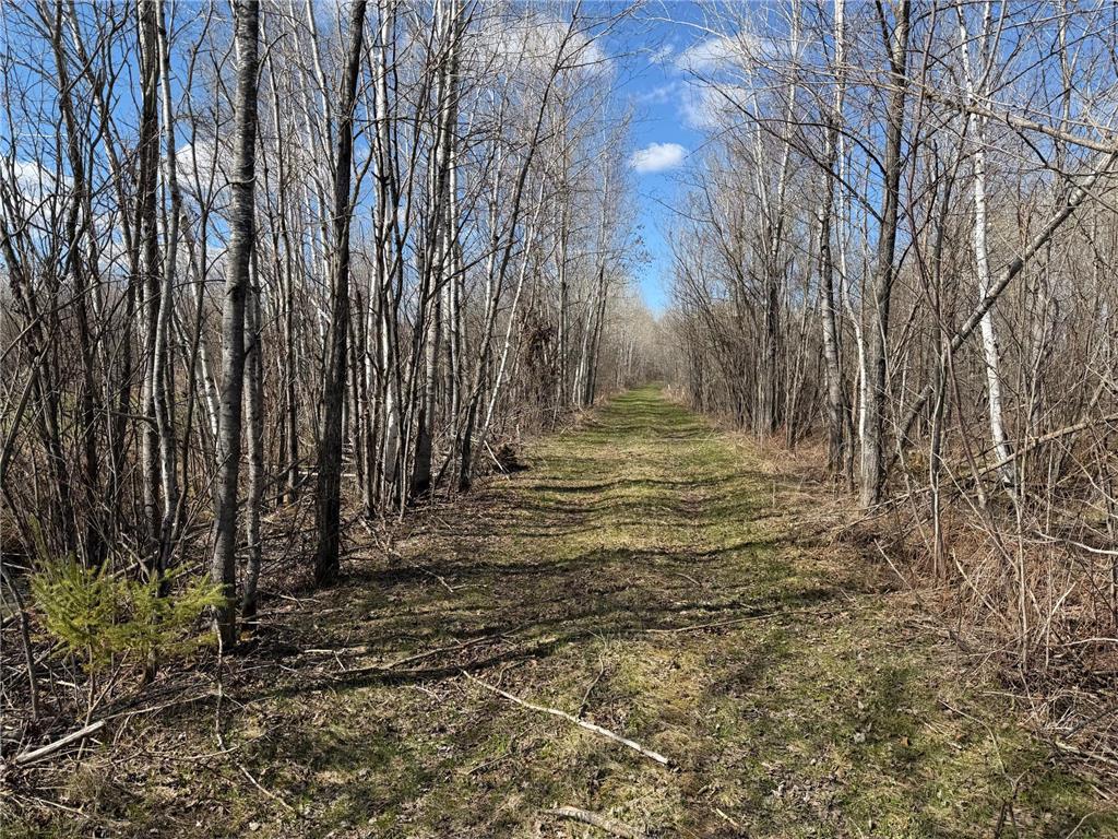 TBD Nature Avenue Fleming Twp MN 56469 7064226 image3