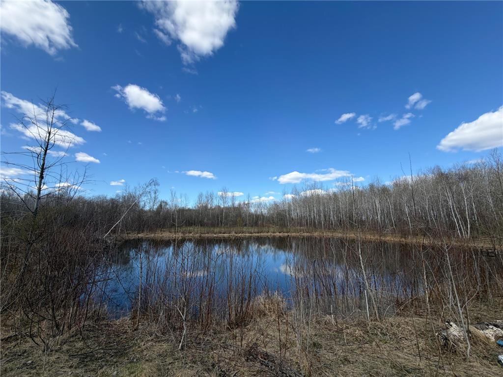 TBD Nature Avenue Fleming Twp MN 56469 7064226 image30
