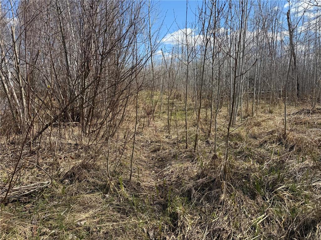 TBD Nature Avenue Fleming Twp MN 56469 7064226 image37