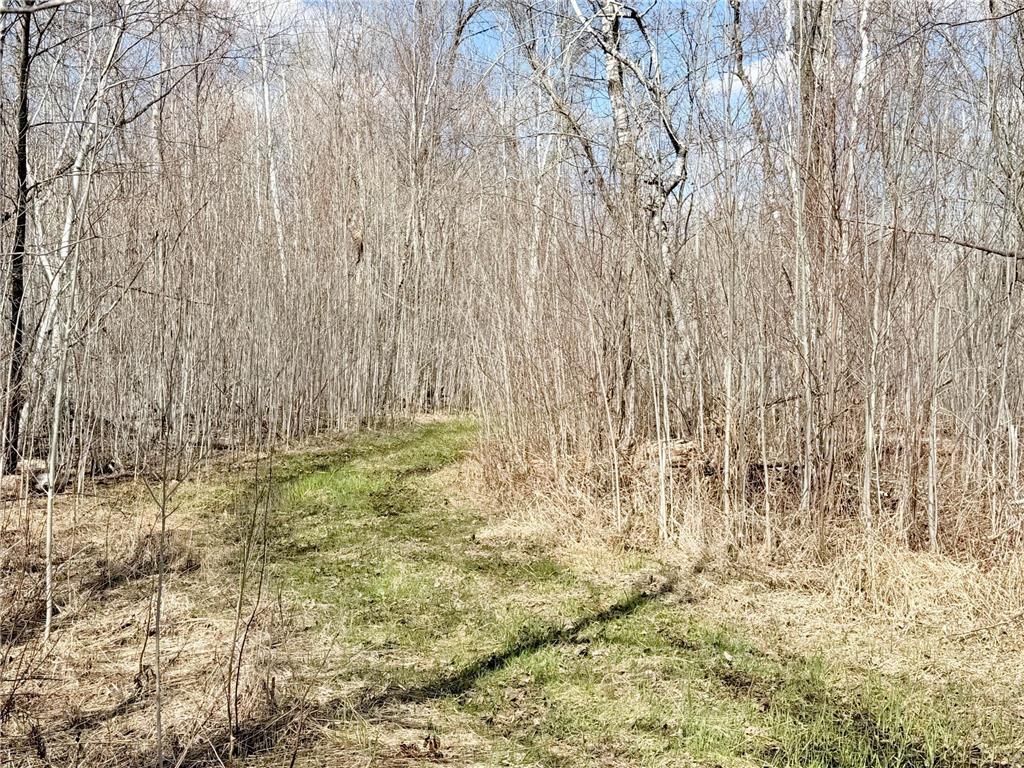 TBD Nature Avenue Fleming Twp MN 56469 7064226 image7