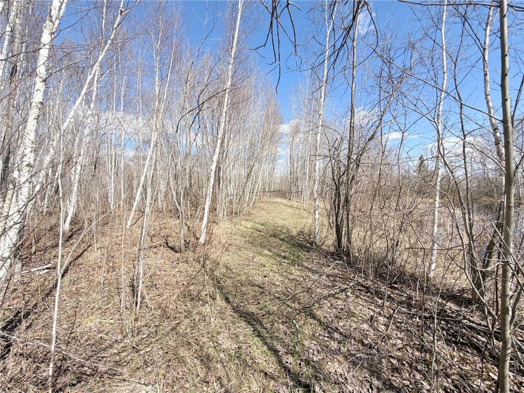 TBD Nature Avenue Fleming Twp MN 56469 7064226 image8