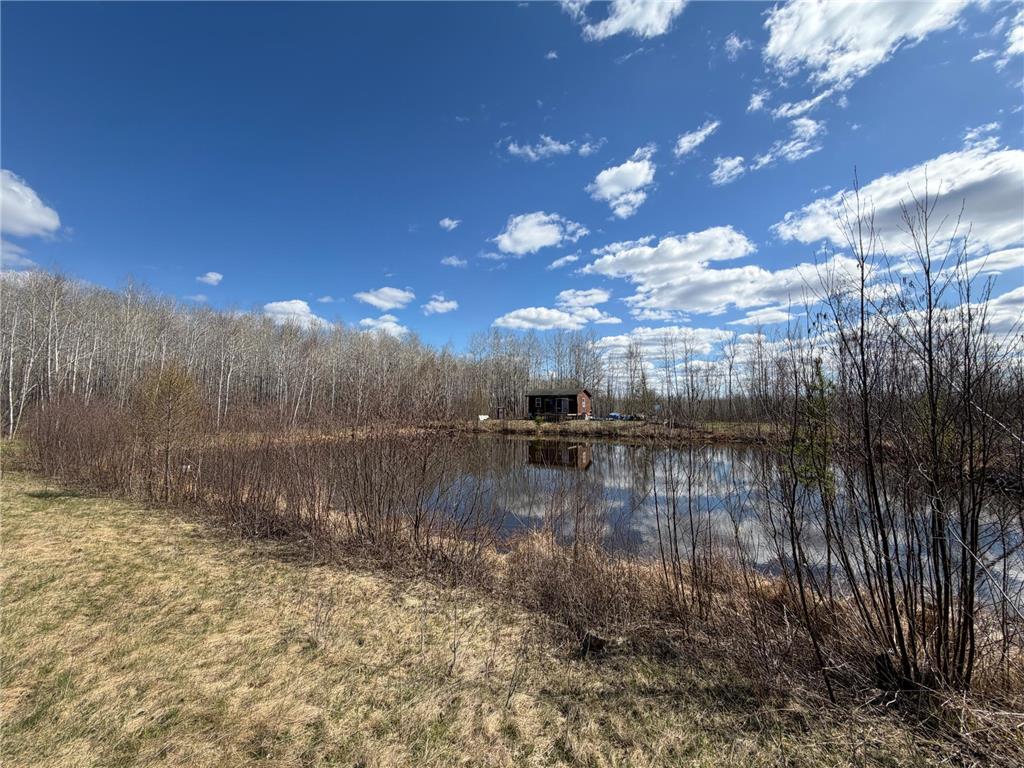 TBD Nature Avenue Fleming Twp MN 56469 7064226 image9