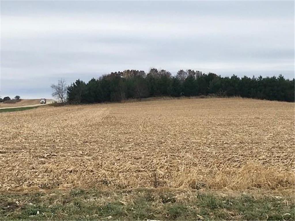 TBD New Haven (site 18) Road NW Pine Island MN 55963 5712543 image1