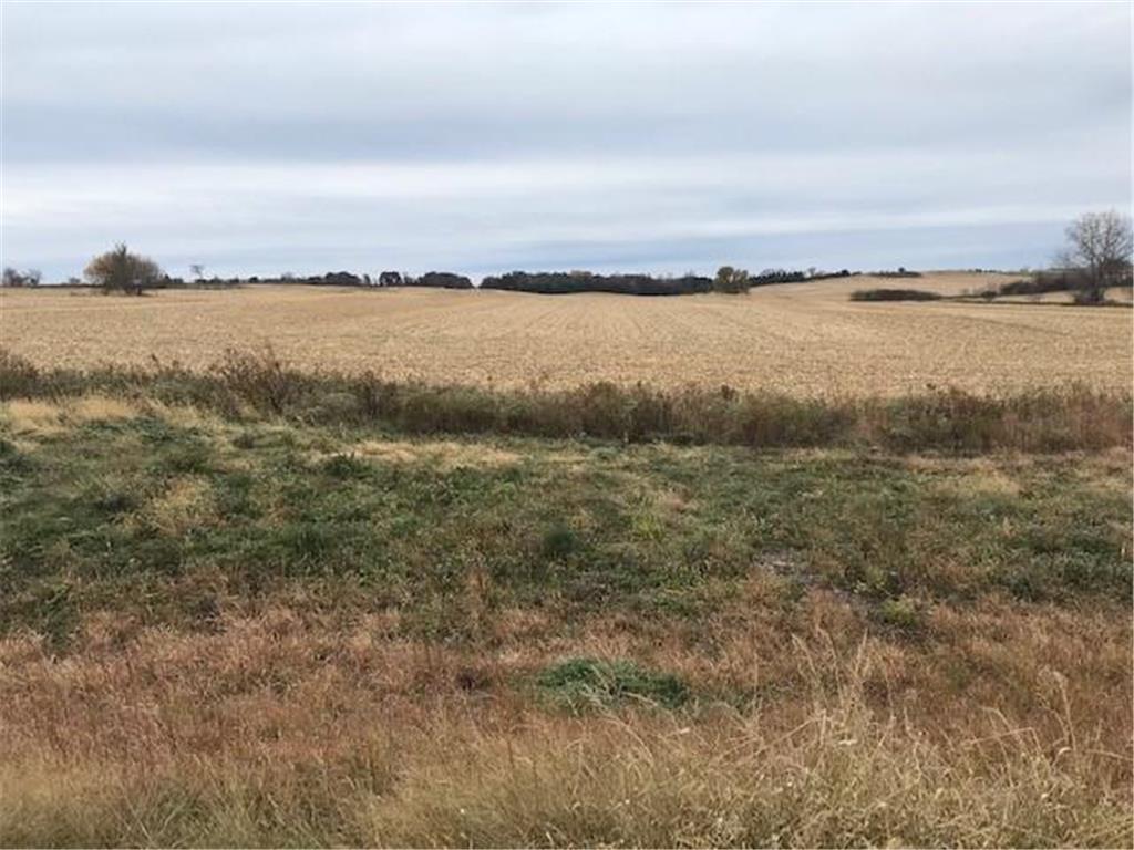 TBD New Haven (site 18) Road NW Pine Island MN 55963 5712543 image3