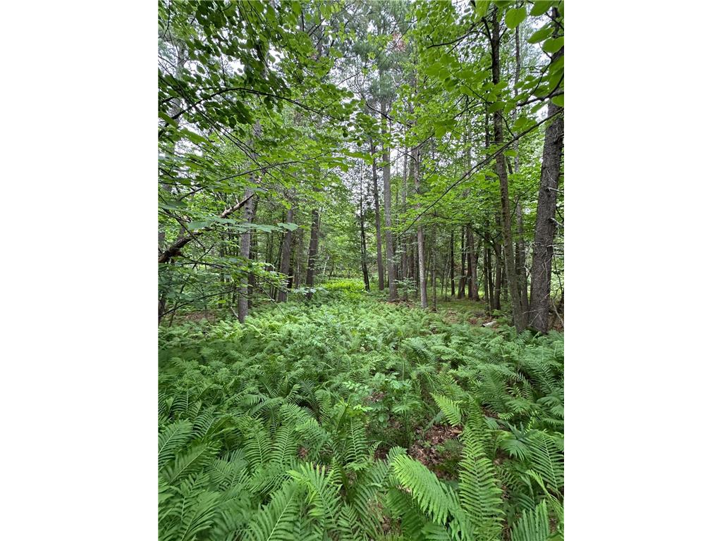 TBD New Highway 71 Port Hope Twp MN 56601 7023087 image1