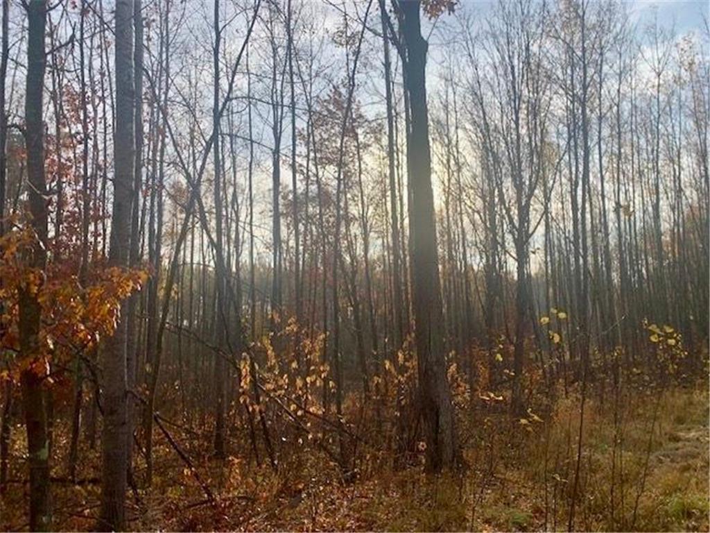 TBD New Paradise Point Drive - Lot 7 Lake George MN 56458 - George Lake 6619968 image16