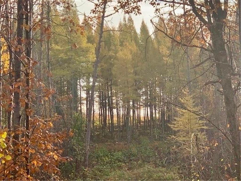 TBD New Paradise Point Drive - Lot 8 Lake George MN 56458 - George Lake 6619969 image15