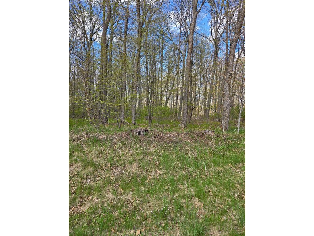 TBD Nicholas St Grand Rapids MN 55744 7078777 image1