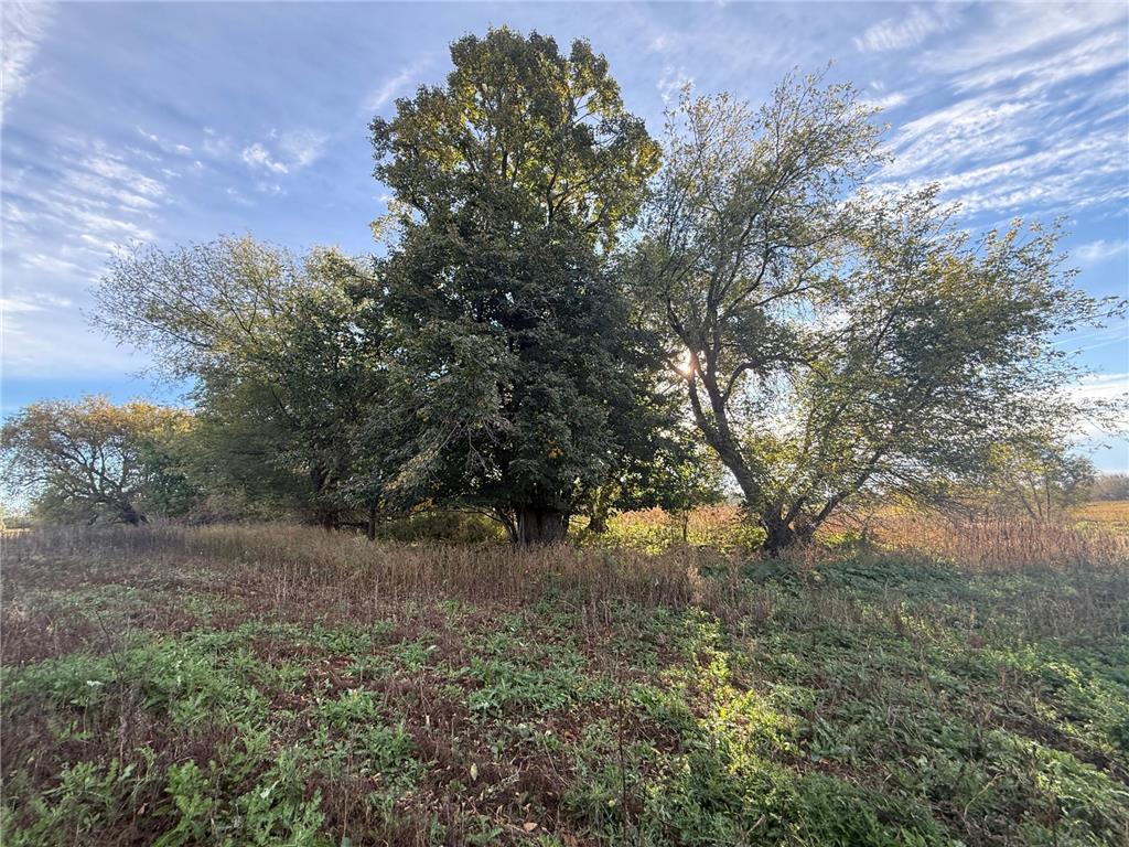 TBD Nightingale Street Braham MN 55006 6800395 image24