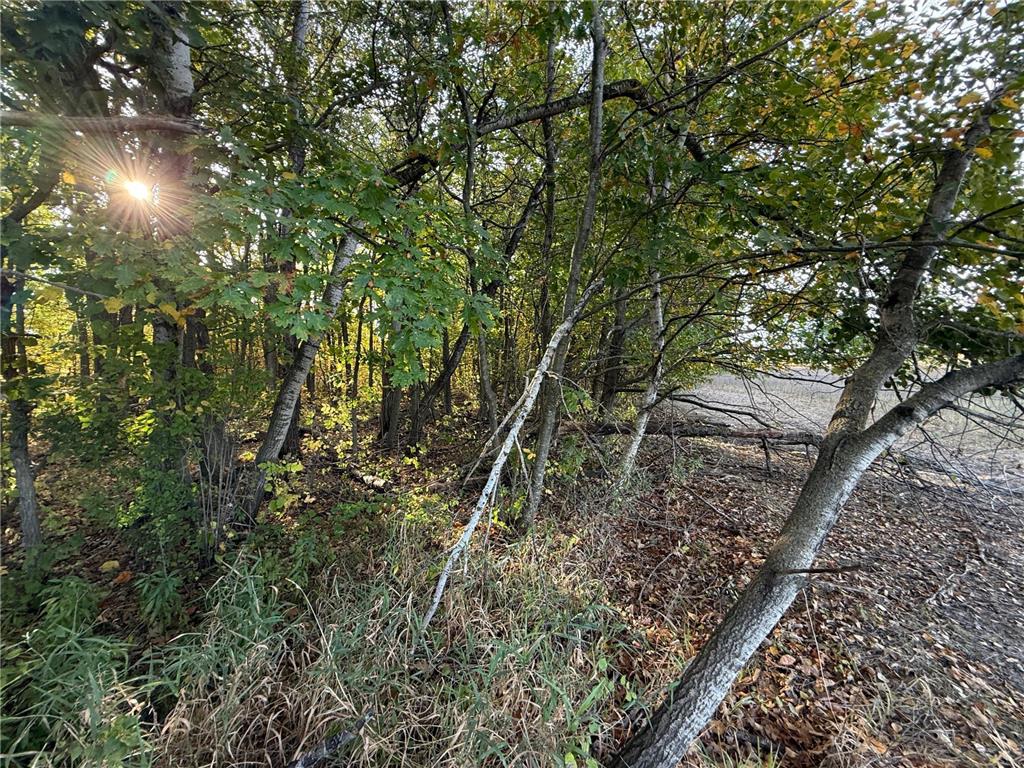 TBD Nightingale Street Braham MN 55006 6800395 image26