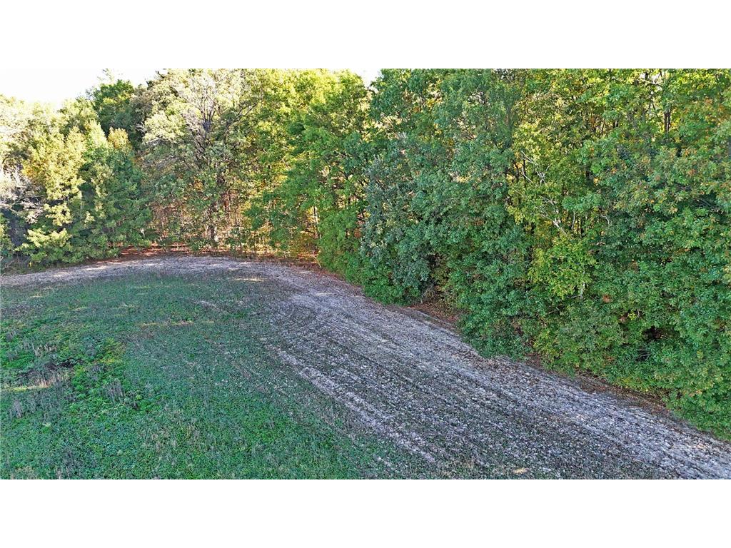 TBD Nightingale Street Braham MN 55006 6800395 image3