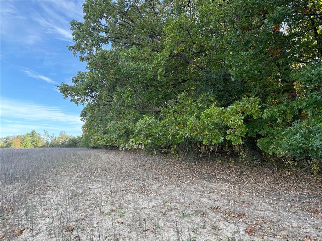 TBD Nightingale Street Braham MN 55006 6800395 image36