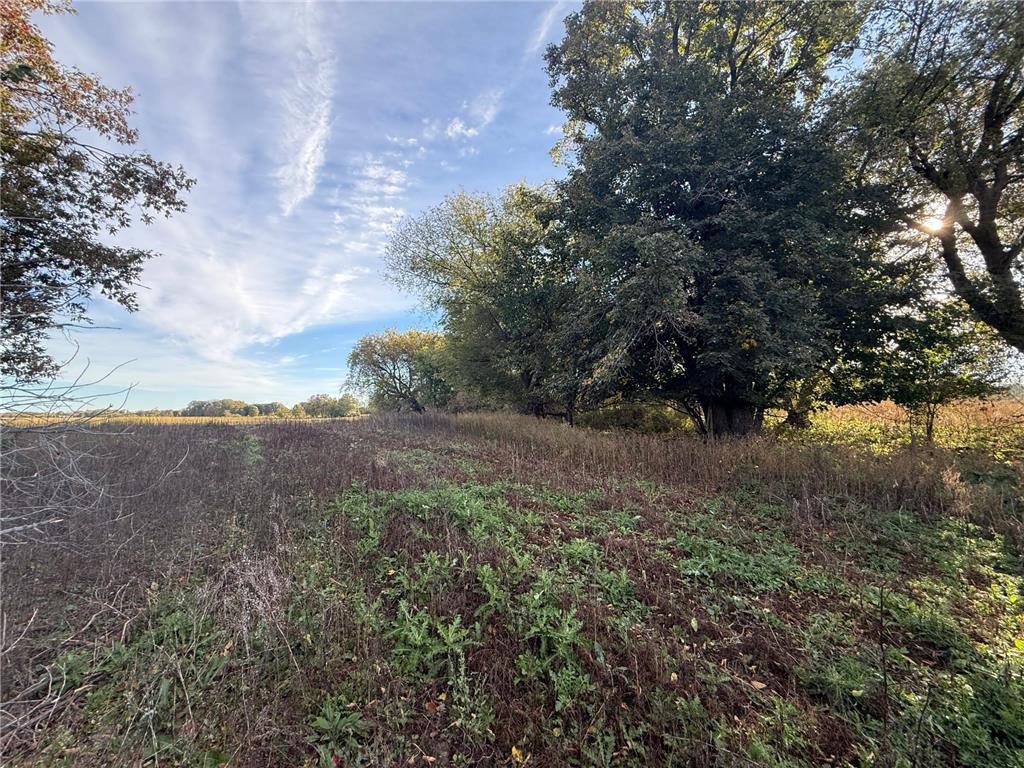 TBD Nightingale Street Braham MN 55006 6800395 image42