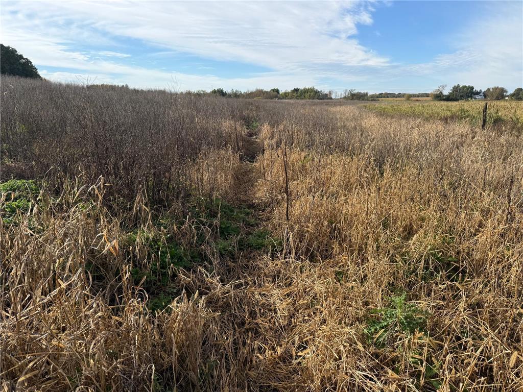 TBD Nightingale Street Braham MN 55006 6800395 image47