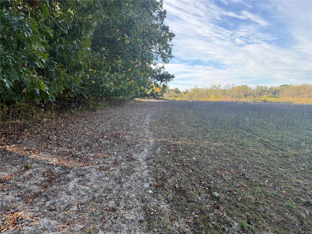 TBD Nightingale Street Braham MN 55006 7069391 image10