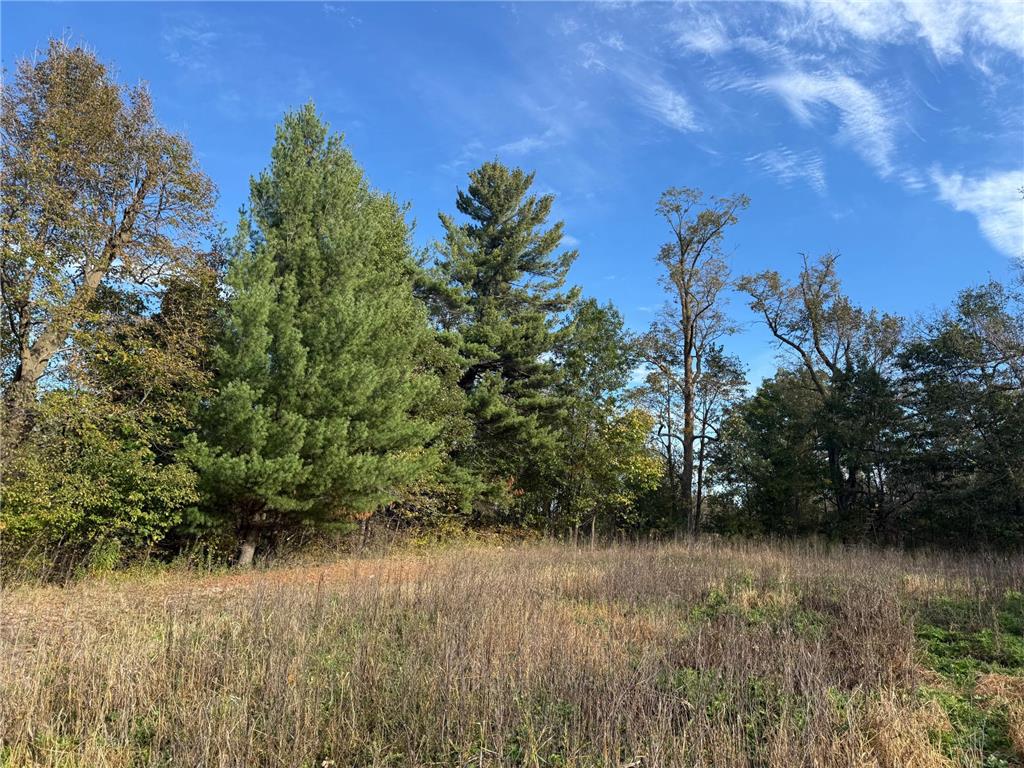 TBD Nightingale Street Braham MN 55006 7069391 image14