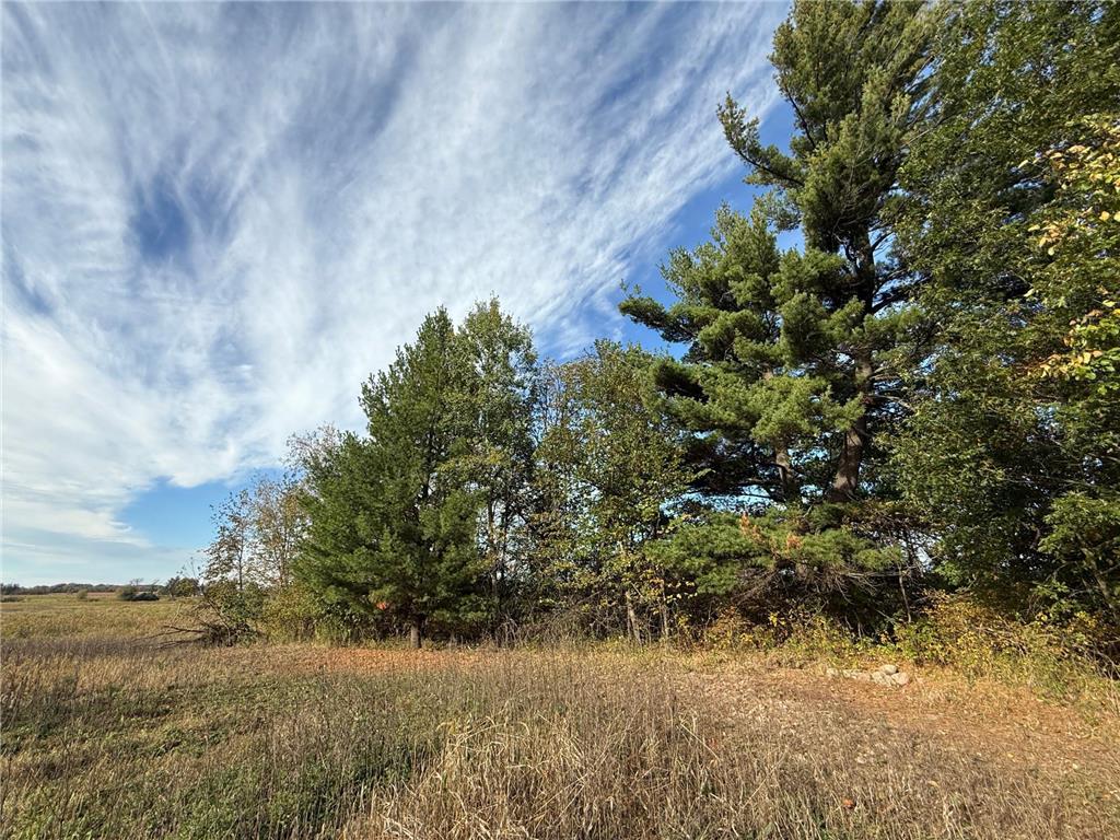 TBD Nightingale Street Braham MN 55006 7069391 image17
