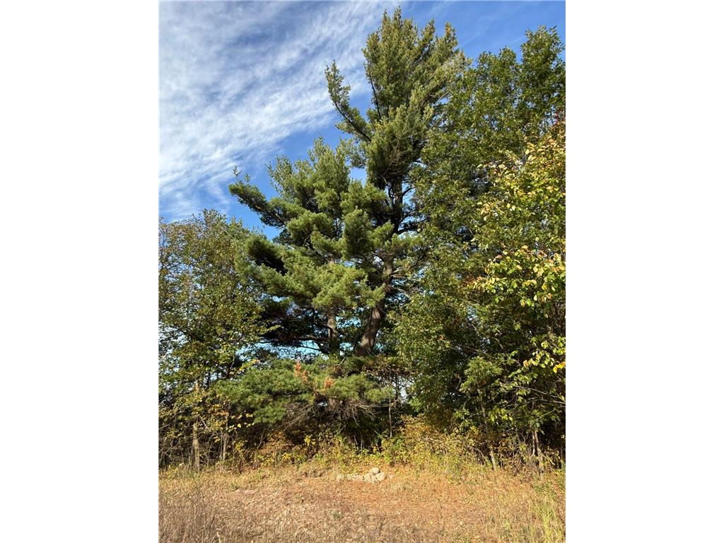 TBD Nightingale Street Braham MN 55006 7069391 image20