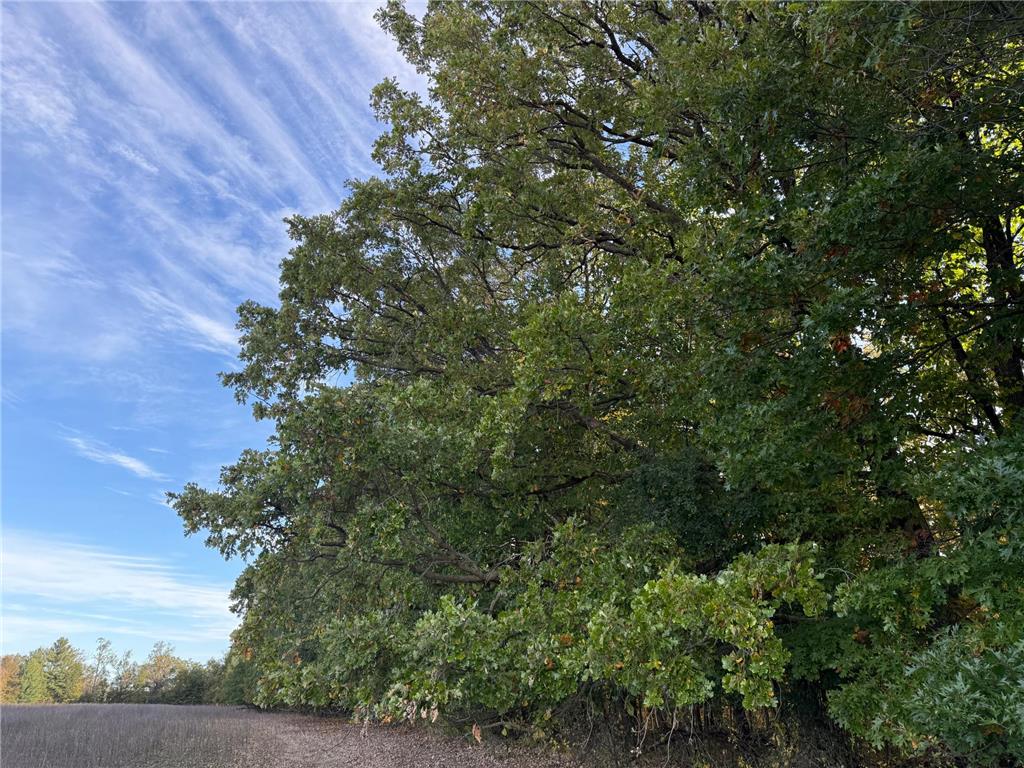 TBD Nightingale Street Braham MN 55006 7069391 image31